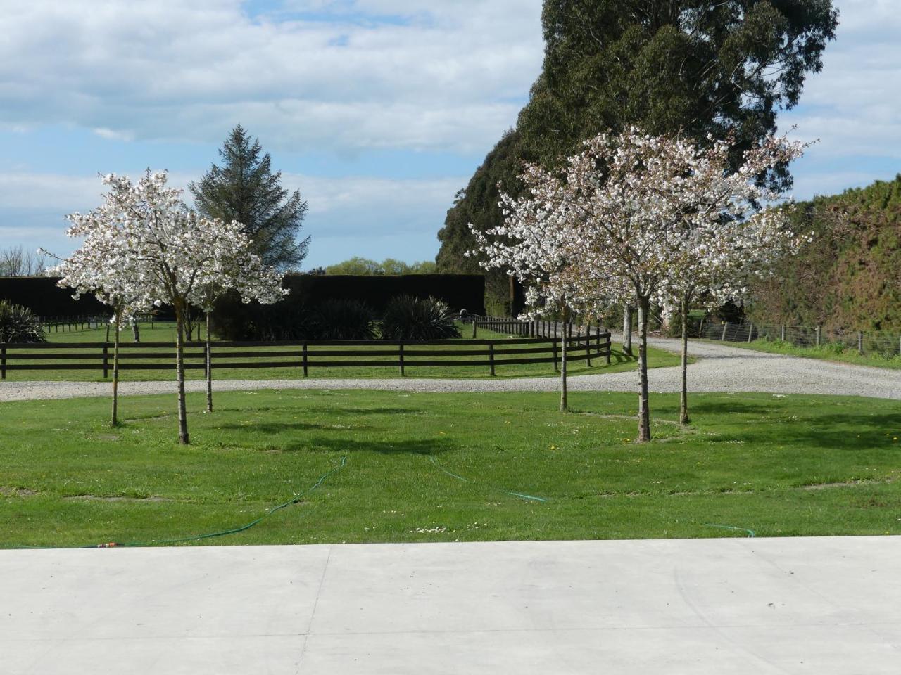 Bramley'S Stables And Accommodation Rangiora Exteriér fotografie